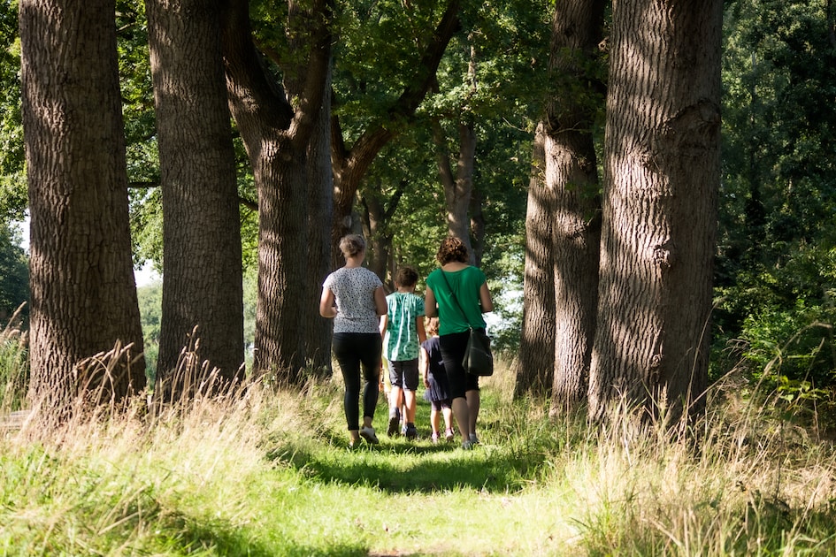 Bungalowpark Het Hart van Drenthe