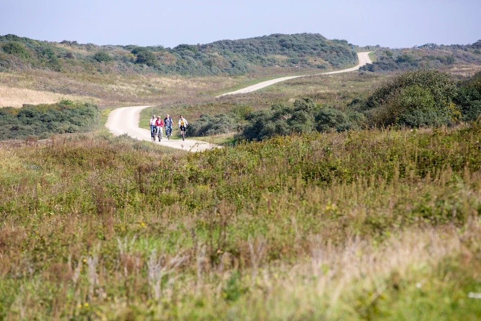 Strandpark Duynhille
