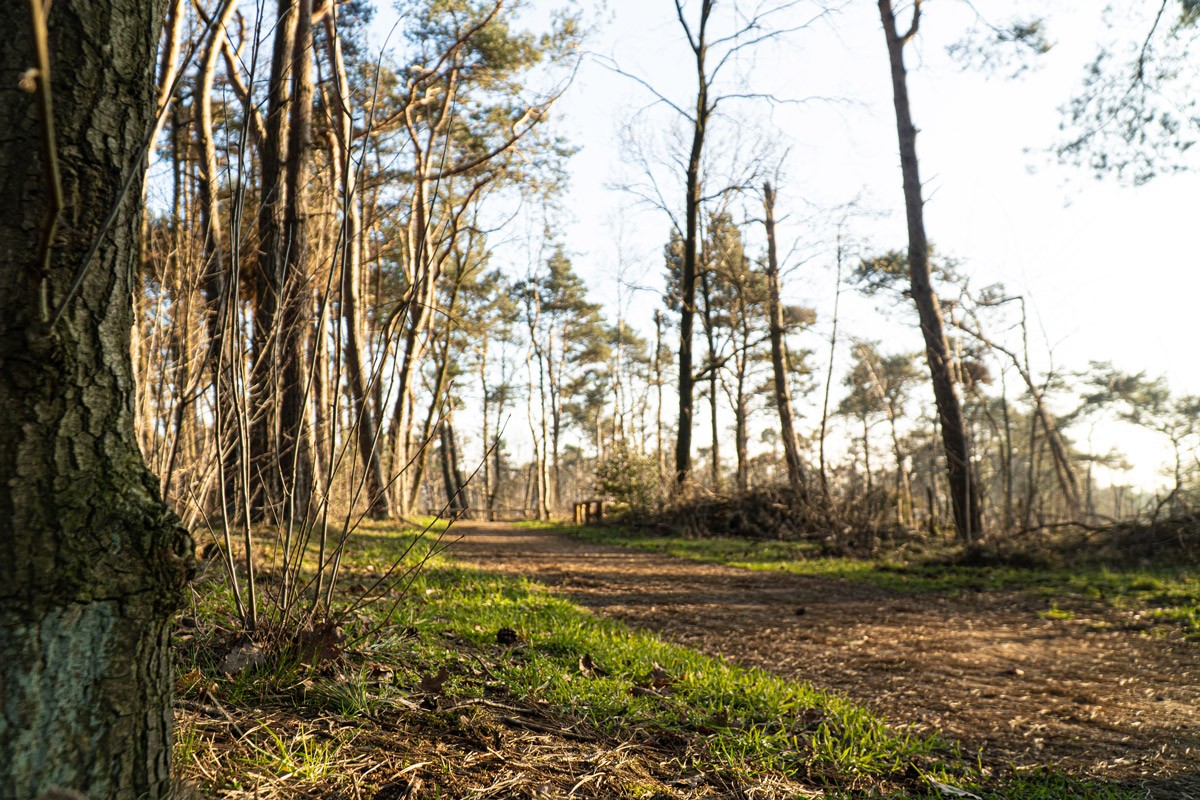 Hofparken De Bergvennen