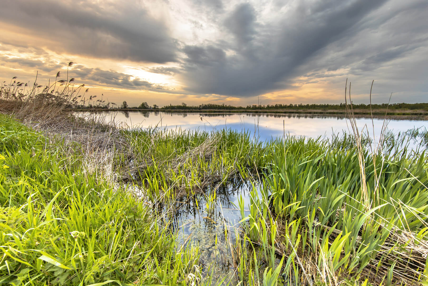 Landal Noord-Brabant