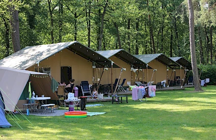 Bonte Vlucht