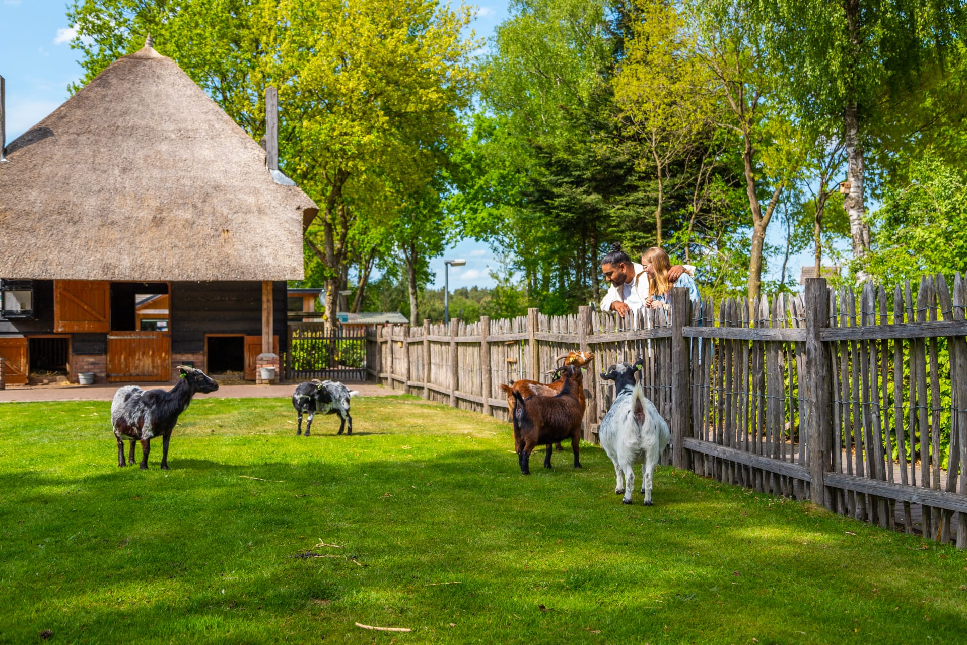 EuroParcs De Wije Werelt