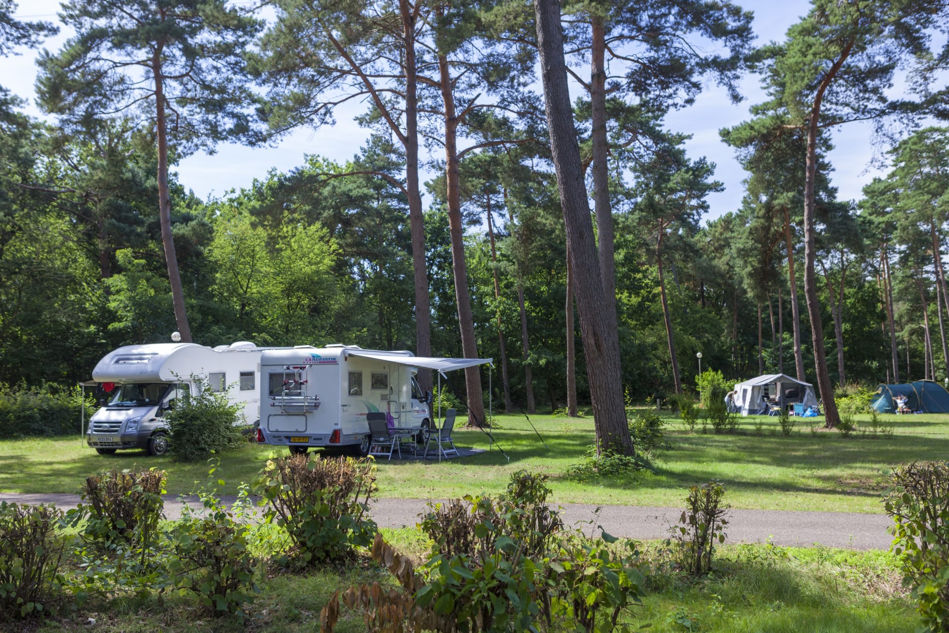 EuroParcs De Wije Werelt