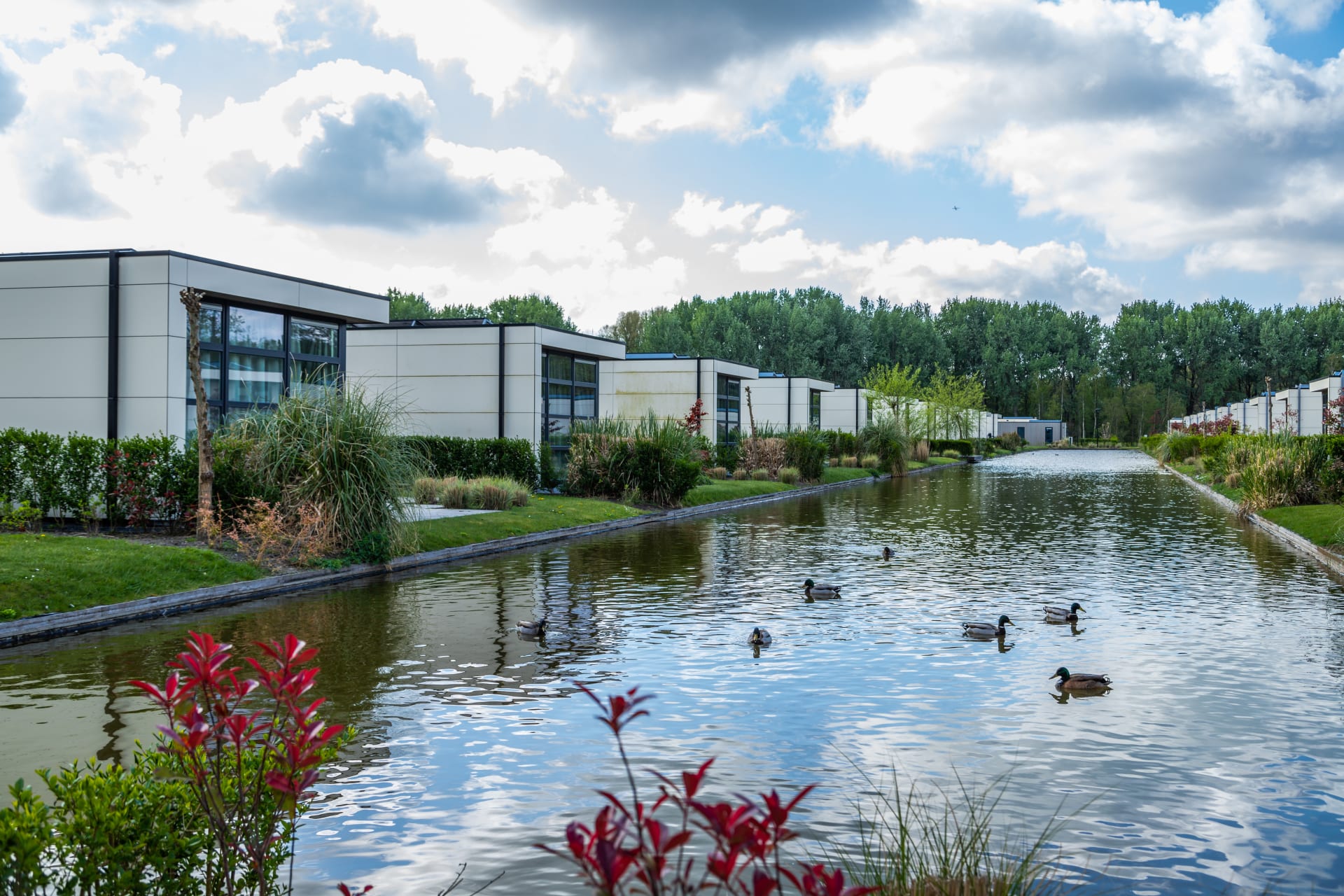 EuroParcs Buitenhuizen