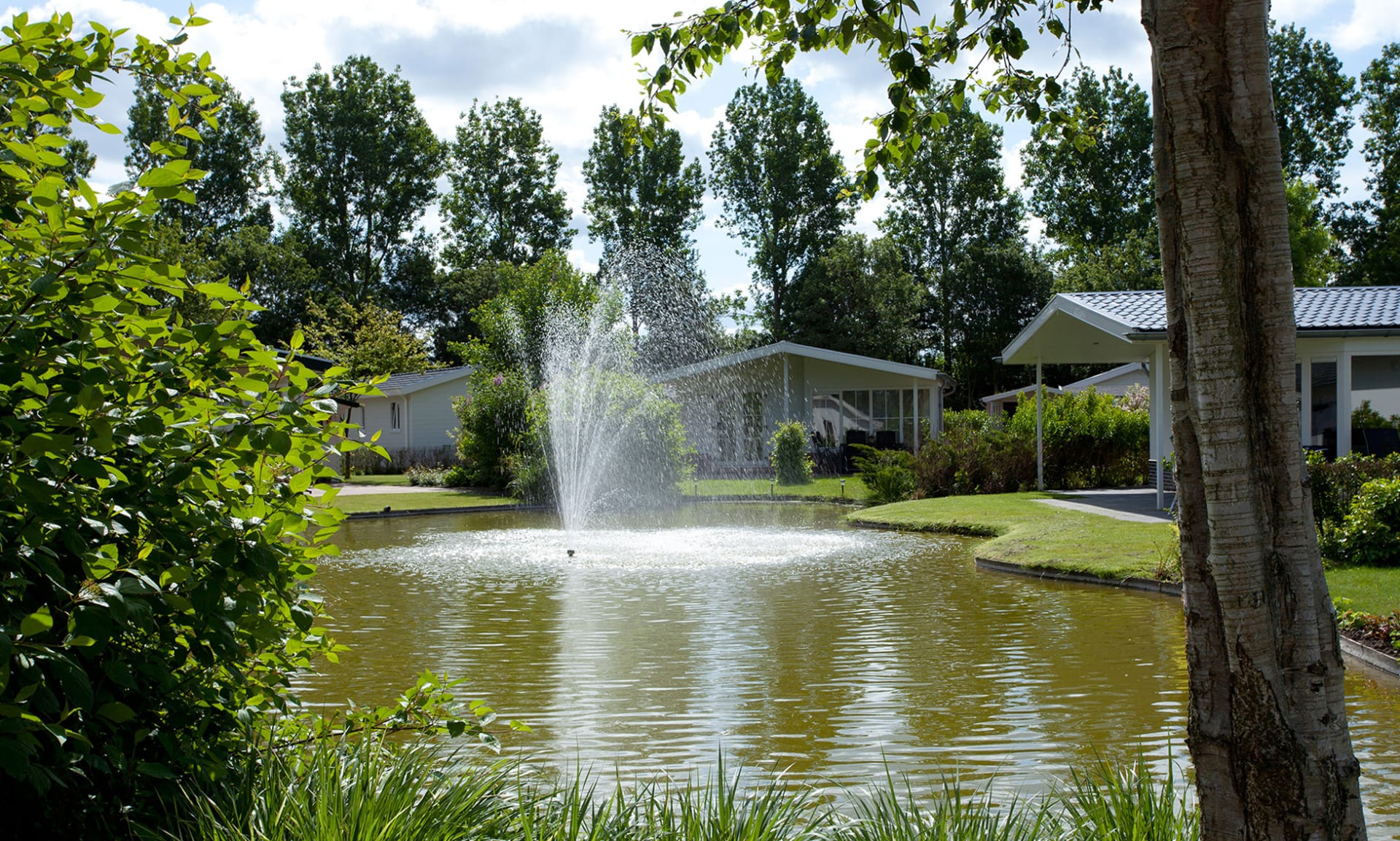 EuroParcs Molengroet