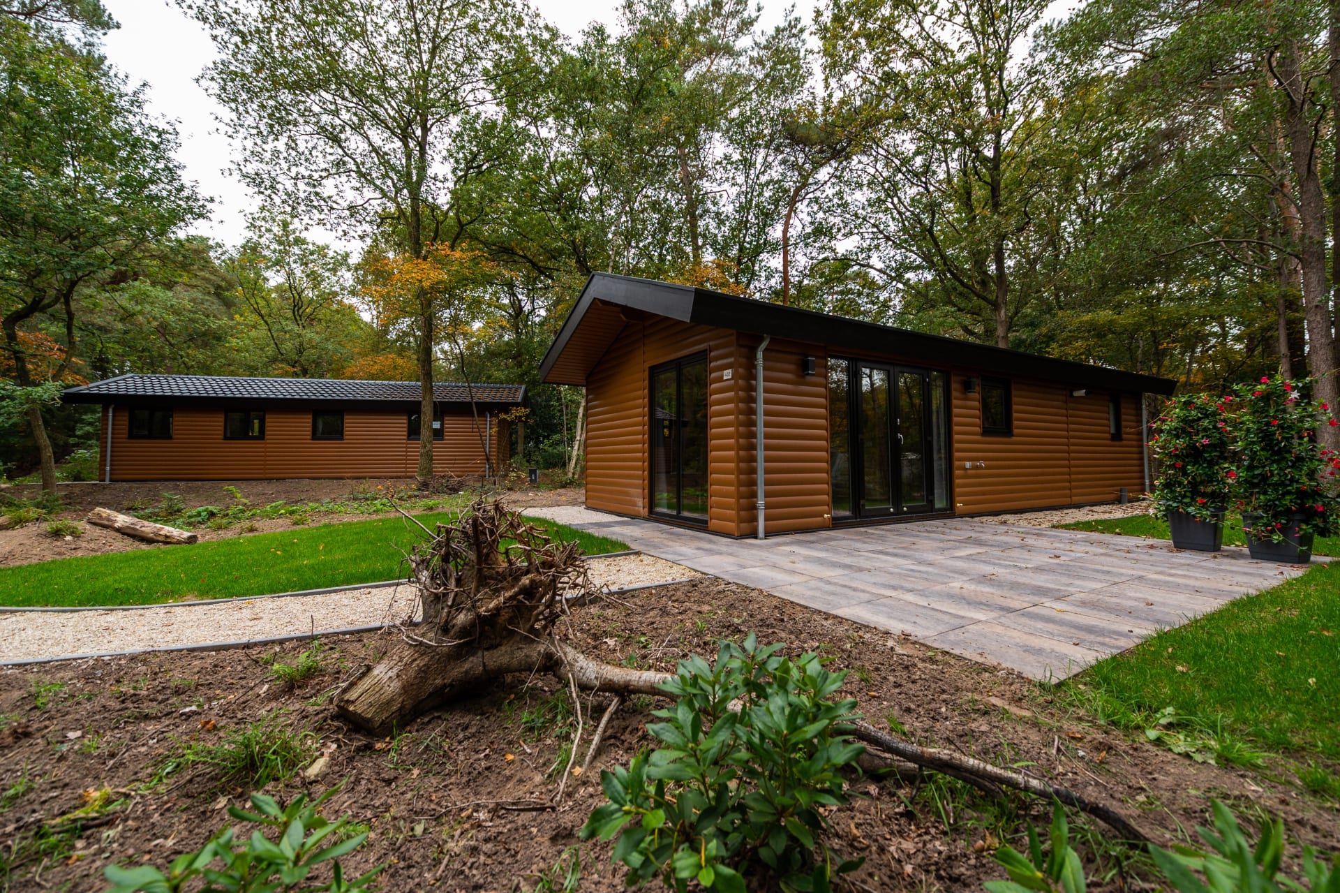 EuroParcs De Wiltzangh