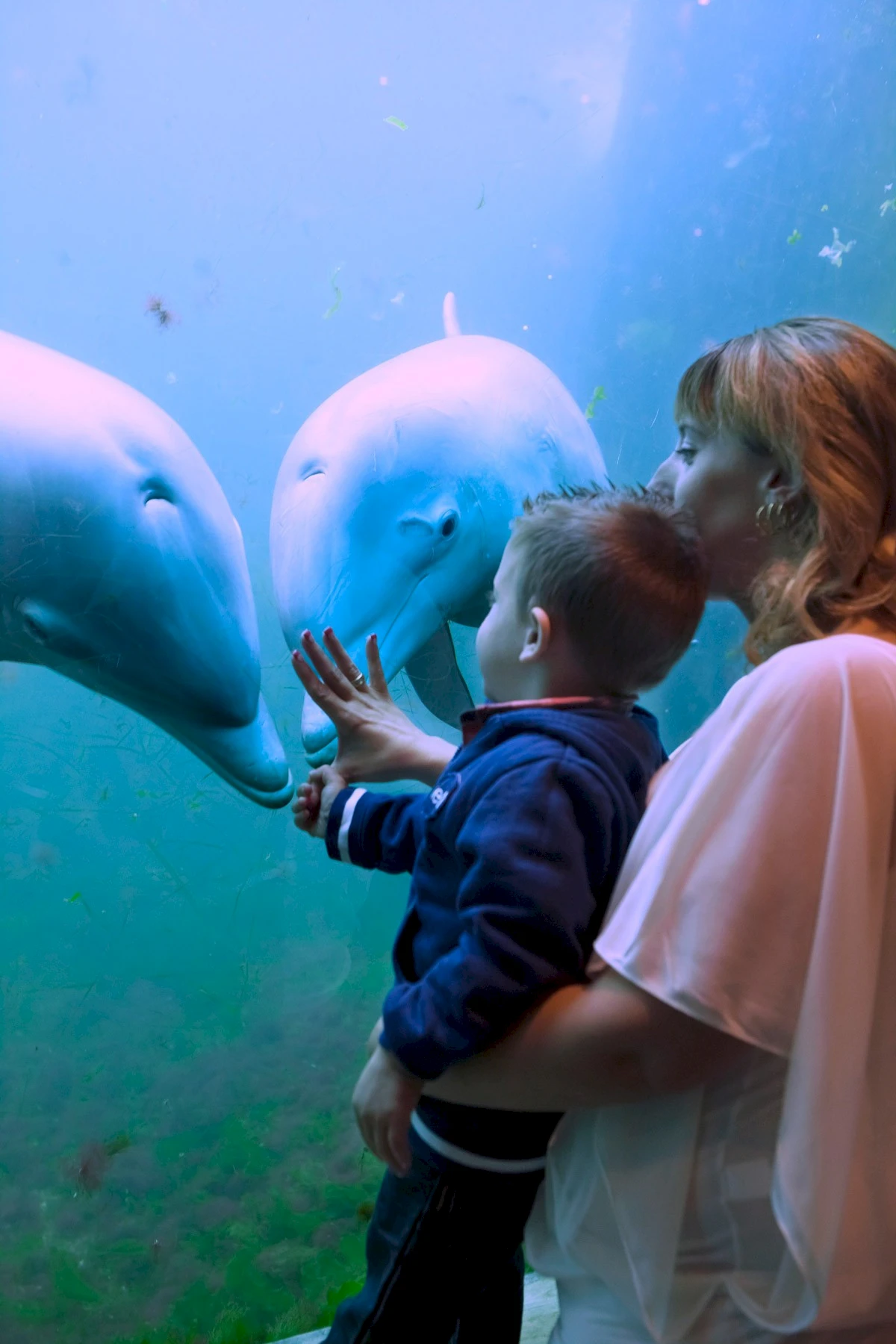 Dolfinarium