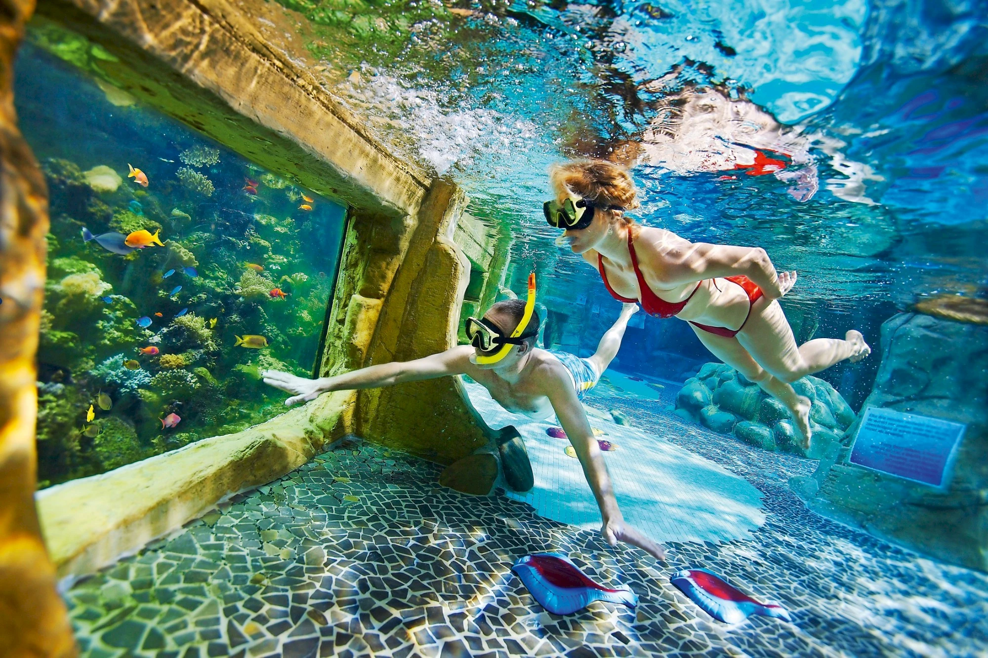 Aqua mundo