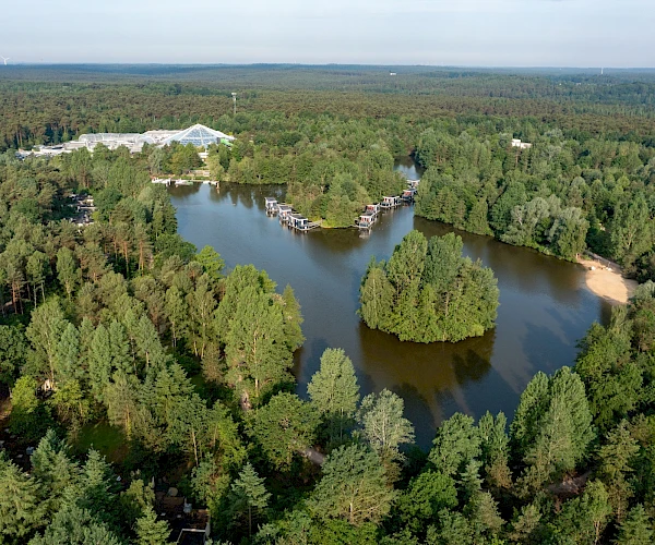 Bispinger Heide